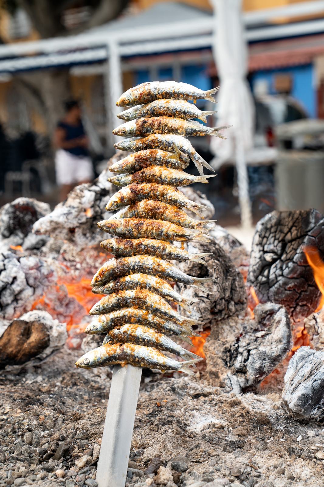 Espeto de sardinas sobre las brasas