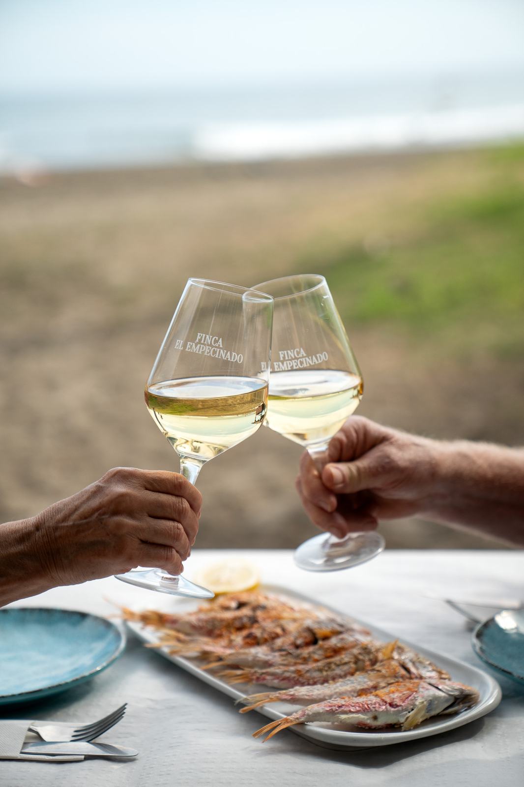 Brindis con vino blanco en la playa