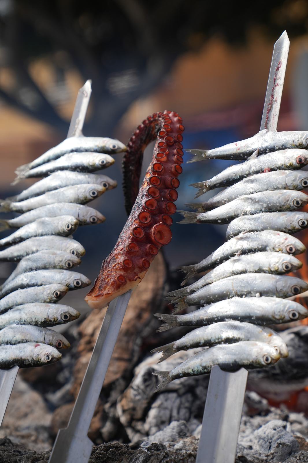 Pata de pulpo entre espetos de sardinas en la barca