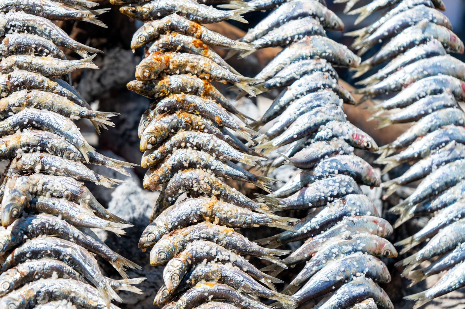 Espetos de sardinas en la barca