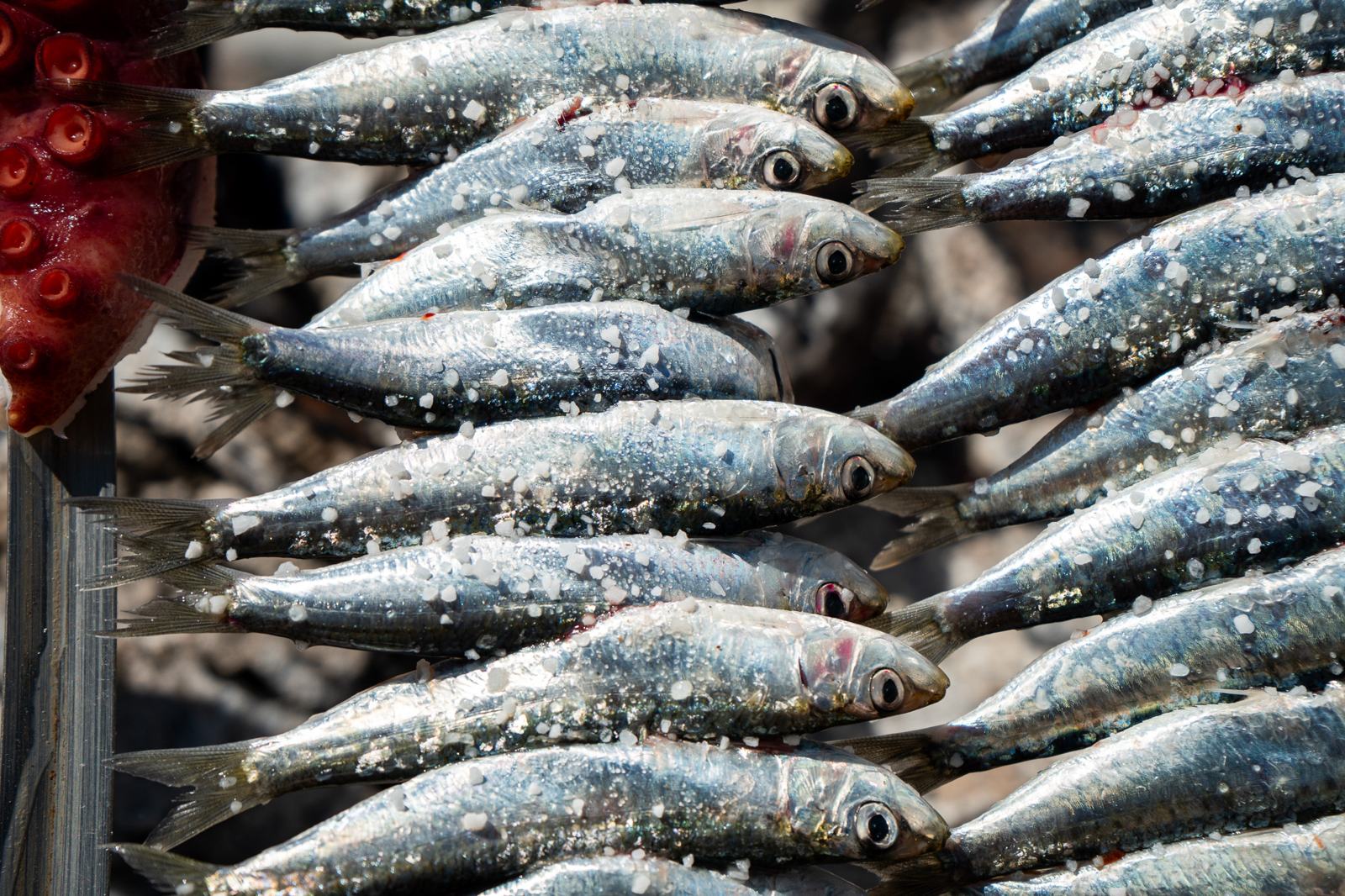 Espetos de sardinas en la barca